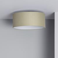Bussandri Minimalistische Plafondlamp - Metaal - Minimalistisch - E27 - L:40cm - Voor Binnen - Woonkamer - Eetkamer - Slaapkamer - Plafondlamp - Groen