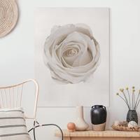 Bilderwelten Leinwandbild Blumen - Hochformat Wasserfarben - Pretty White Rose