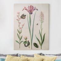 Bilderwelten Leinwandbild Blumen - Hochformat Anna Maria Sibylla Merian - Pechnelke und Rose