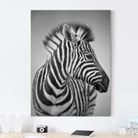 Bilderwelten Leinwandbild Tiere - Hochformat Zebra Baby Portrait II