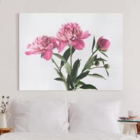 Bilderwelten Leinwandbild Blumen - Querformat Blüten und Knospen Pink auf Weiß