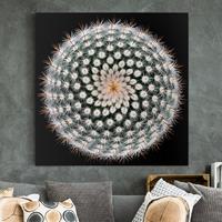 Bilderwelten Leinwandbild Blumen - Quadrat Kaktusblüte