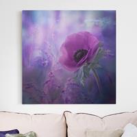 Bilderwelten Leinwandbild Blumen - Quadrat Anemonenblüte in Violett