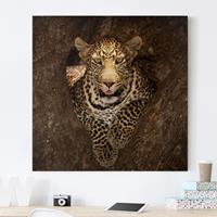 Bilderwelten Leinwandbild Tiere - Quadrat Leopard ruht auf einem Baum