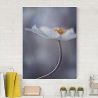 Bilderwelten Leinwandbild Blumen - Hochformat Weiße Anemonenblüte
