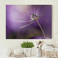 Bilderwelten Leinwandbild Blumen - Querformat Pusteblume in Violett