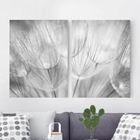 Bilderwelten 2-teiliges Leinwandbild Blumen - Querformat Pusteblumen Makroaufnahme in schwarz weiß