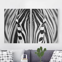 Bilderwelten 2-teiliges Leinwandbild Tiere - Querformat Zebra Look