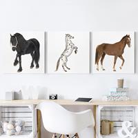 Bilderwelten 3-teiliges Leinwandbild Tiere - Quadrat Three Horses Trio