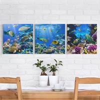 Bilderwelten 3-teiliges Leinwandbild Tiere - Quadrat Underwater Trio