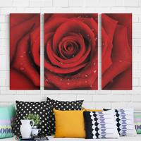 Bilderwelten 3-teiliges Leinwandbild Blumen - Querformat Rote Rose mit Wassertropfen