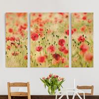 Bilderwelten 3-teiliges Leinwandbild Blumen - Querformat Summer Poppies