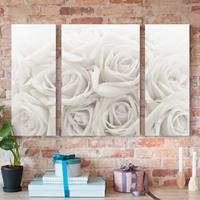 Bilderwelten 3-teiliges Leinwandbild Blumen - Querformat Weiße Rosen