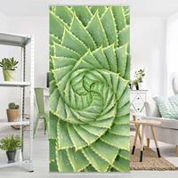 Bilderwelten Raumteiler Botanik & Tropical Spiral Aloe