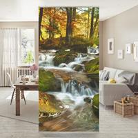 Bilderwelten Raumteiler Natur & Landschaften Wasserfall herbstlicher Wald