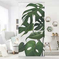 Bilderwelten Raumteiler Botanik & Tropical Lieblingspflanzen - Monstera