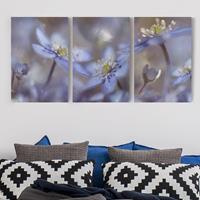 Bilderwelten 3-teiliges Leinwandbild Blumen - Querformat Anemonen in Blau