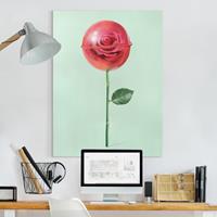 Bilderwelten Leinwandbild Rose mit Lollipop