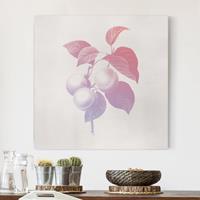 Bilderwelten Leinwandbild Modern Vintage Botanik Pfirsich Rosa Violett