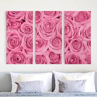 Bilderwelten 3-teiliges Leinwandbild Blumen - Querformat Rosa Rosen