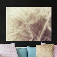 Bilderwelten Leinwandbild Blumen - Quadrat Detailreiche Pusteblumen Makroaufnahme mit Vintage Blur Effekt