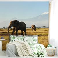 Bilderwelten Fototapete Elefanten vor dem Kilimanjaro in Kenya