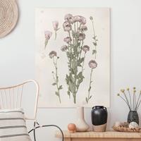 Bilderwelten Leinwandbild Botanik - Hochformat Herbarium in rosa I