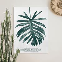 Bilderwelten Leinwandbild Botanik - Hochformat Smaragdgrüner Philodendron Angustisectum