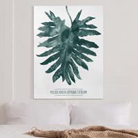 Bilderwelten Leinwandbild Botanik - Hochformat Smaragdgrüner Philodendron Bipinnatifidum