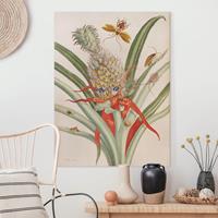 Bilderwelten Leinwandbild Anna Maria Sibylla Merian - Ananas mit Insekten