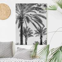 Bilderwelten Leinwandbild Palmen im Sonnenuntergang Schwarz-Weiß