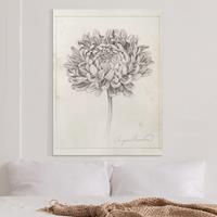 Bilderwelten Leinwandbild Botanische Studie Chrysantheme II