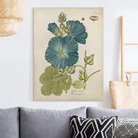 Bilderwelten Leinwandbild Vintage Botanik in Blau Rosenpappel
