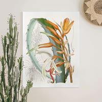 Bilderwelten Leinwandbild Vintage Illustration Tropische Blüten I