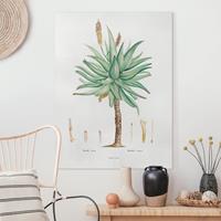 Bilderwelten Leinwandbild Botanik Vintage Illustration Aloe