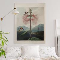 Bilderwelten Leinwandbild Botanik Vintage Illustration Blüte und Kolibri