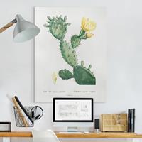Bilderwelten Leinwandbild Botanik Vintage Illustration Kaktus mit gelber Blüte