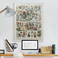 Bilderwelten Leinwandbild Vintage Lehrtafel Blumen II