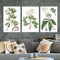 Bilderwelten 3-teiliges Leinwandbild Botanik - Hochformat Laubwerk mit Blüten Set I