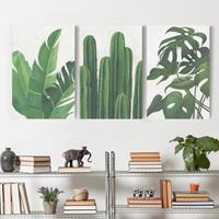 Bilderwelten 3-teiliges Leinwandbild Botanik - Hochformat Lieblingspflanzen Tropical Set II