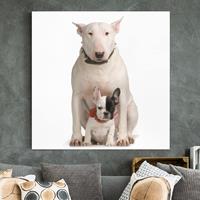 Bilderwelten Leinwandbild Tiere - Quadrat Bull Terrier and friend
