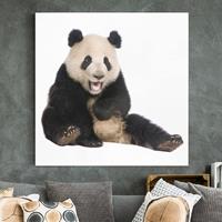 Bilderwelten Leinwandbild Tiere - Quadrat Lachender Panda