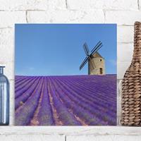 Bilderwelten Leinwandbild Natur & Landschaft - Quadrat Lavendelduft in der Provence