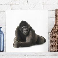 Bilderwelten Leinwandbild Tiere - Quadrat Liegender Gorilla II