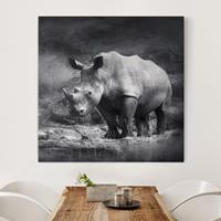 Bilderwelten Leinwandbild Tiere - Quadrat Lonesome Rhinoceros