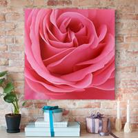 Bilderwelten Leinwandbild Blumen - Quadrat Lustful Pink Rose