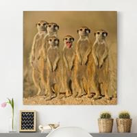 Bilderwelten Leinwandbild Tiere - Quadrat Meerkat Family