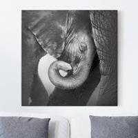 Bilderwelten Leinwandbild Elefant - Quadrat Mutterliebe
