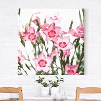 Bilderwelten Leinwandbild Blumen - Quadrat Pink Flowers