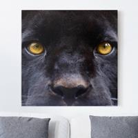 Bilderwelten Leinwandbild Tiere - Quadrat Power of Puma